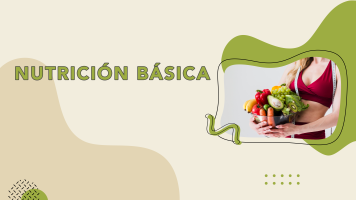 Nutrición Básica
